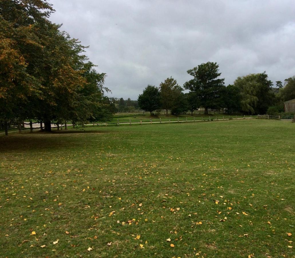 Starvegoose * Goudhurst