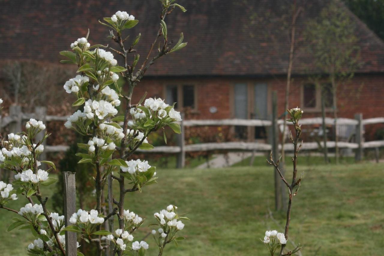 Holiday home Starvegoose *